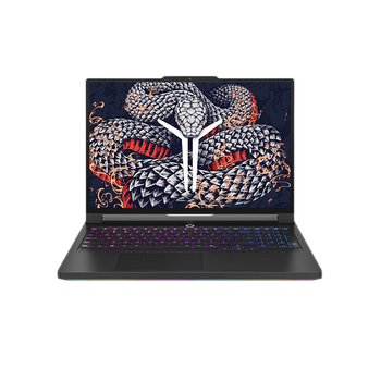 联想（Lenovo）拯救者Y9000P 2025AI元启16英寸游戏笔记本电脑 定制Ultra9 275HX 64G 2T RTX5070Ti 2.5K 240Hz黑