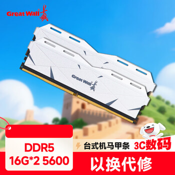 长城（Great Wall）32G(16G*2)套条 DDR5 5600 马甲条 台式机内存条