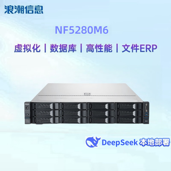 浪潮（inspur）NF5280M6 机架服务器定制 数据库 虚拟化 DeepSeek部署 2颗4310 128G 2块480G+3块4T 阵列卡