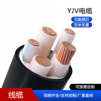 郑源 2芯铜电缆线硬线ZC-YJV电压0.6/1KV铜电缆线 一米价 2芯*16平方