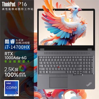 联想ThinkPad P16 2024 Ai 16英寸3D建模移动工作站笔记本（i7-14700HX 16G 1TB RTX1000Ada）
