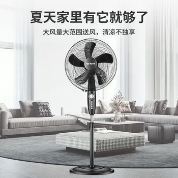 先锋（SINGFUN）电风扇省电落地扇家用转页定时摇头立台式电扇 FS40-16B