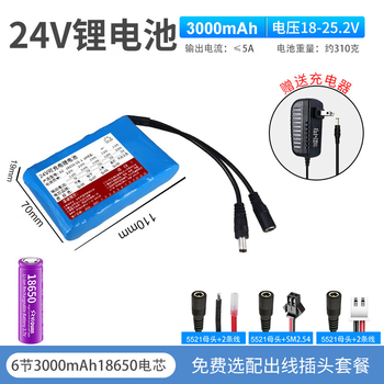 正鑫远 锂电池组医疗器械电动工具户外音响可充电太阳能6串 24V3.0AH【6S一字】锂电池55GM+充电器