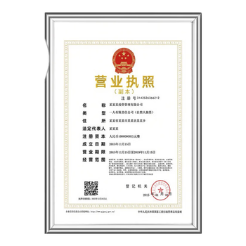 金隆兴 营业执照正本框A3相框挂墙仿铝合金画框装裱保护套工商卫生许可证书荣誉证书奖状框框架银色BB-A3