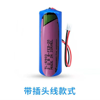 熙久阳 3.6V 锂电池 紫色14505 5903 带插头（2个）
