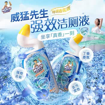 威猛先生（Mr Muscle）强效洁厕液 卫生间马桶清洁 除垢去渍去异味 丁香香型 600g*2瓶