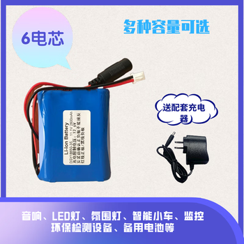 正鑫远 大容量智能小车充电锂电池组LED灯带小风扇酒吧灯 6节12V3600mAh带2A充电器