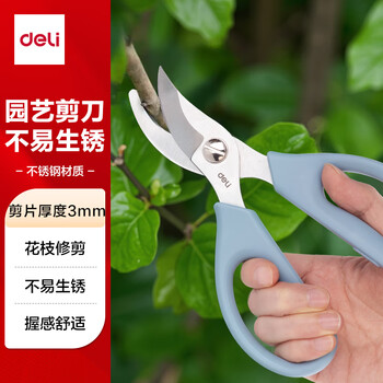 得力（deli）园艺剪刀修剪树枝花艺盆栽剪 家用鲜花插花专用剪刀 绿箩绿植花卉果树 77752 蓝色