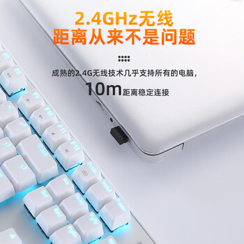 达尔优(dareu)EK810三模无线键盘 机械键盘蓝牙2.4 游戏办公键盘 可充电2000AH长续航 104键 白色红轴 达尔优(dareu)EK810三模无线键盘 机械键盘蓝牙2.4 游戏办公键盘 可充电2000AH长续航 104键 白色红轴