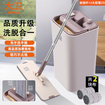 大卫  免手洗平板拖把刮刮桶 干湿两用拖布 洗脱合一Z9【2块拖布】