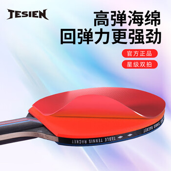 特斯恩（TESIEN） 乒乓球拍 星级球拍专业球拍乒乓球拍短柄236mm TSN-P01