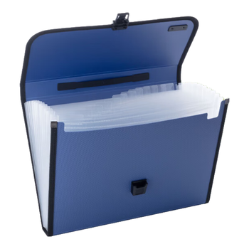 晨光（M&G）A4/12格蓝色文件包办公手提资料包风琴包学生试卷分类收纳包AWT90959单个装