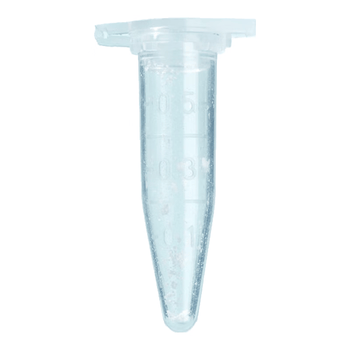 比克曼生物（BKMAM）抗凝离心管子弹头0.5ml/1.5ml抗凝管含EDTA-K2血常规血球分析用 【1.5mL】500个/袋