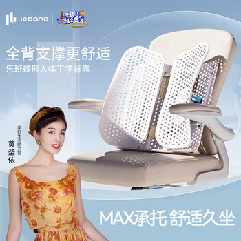 乐班腰靠垫人体工学支撑腰背靠腰托 可升降蝶形靠垫 