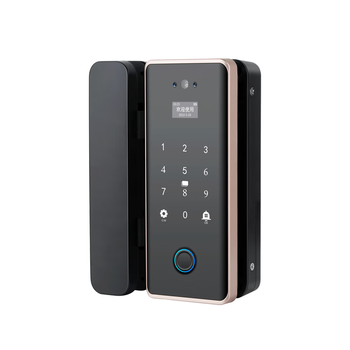 真地 Realand  人脸识别门禁锁玻璃门单门双开门指纹锁办公室涂鸦app远程开锁密码锁钥匙应急开锁 Q6