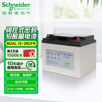 APC&施耐德CFR铅酸蓄电池M2AL12-38CFR