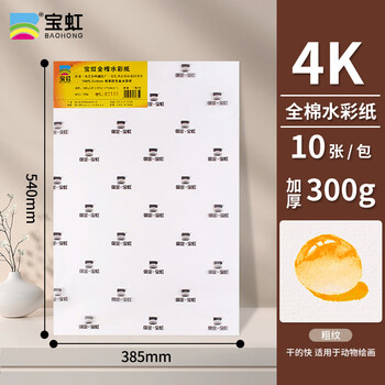 宝虹水彩纸画本画纸学院级美术生水彩本彩铅纸速写画画水粉纸4K/粗纹300g/385X540mm