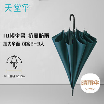 天堂伞 抗风双人雨伞长柄 10骨超大号半自动直杆晴雨两用伞商务伞冷山绿