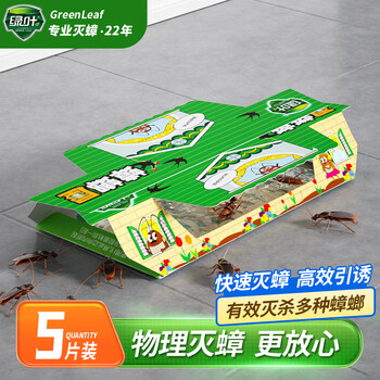 绿叶蟑螂屋家用杀蟑杀蛮蠊杀蟑粘板5片装 2119-5