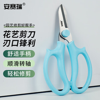 安赛瑞 不锈钢鲜花修剪刀 家用绿植盆栽修枝园艺工具 蓝色 5J00478 JC