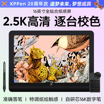 XPPen Artist Pro 16(Gen2) 数位屏 电脑绘画专业手绘屏 数位板 手写板连电脑画板手绘板绘画板