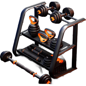 飞尔顿FED 哑铃架子健身家用哑铃小支架收纳托 铁质哑铃架通用