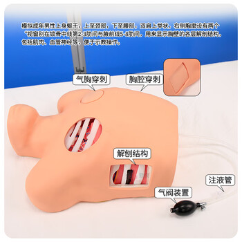 勤良胸腔穿刺引流训练模型模拟人闭式穿刺引流术教学训练模型人体穿刺训练模型气胸穿刺减压模型QL/L66