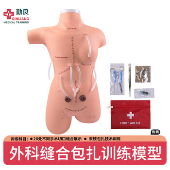 勤良高级外科缝合包扎练习模拟人模型高位低位包扎模型外科缝合包扎止血训练展示术前无菌术操作训练模型QL/LF5