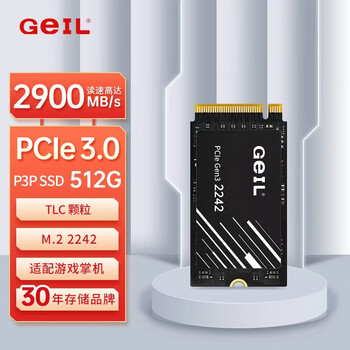 GEIL金邦 512GB SSD固态硬盘M.2接口PCIe 3.0（NVMe协议）2242短板 掌机游戏  P3P系列