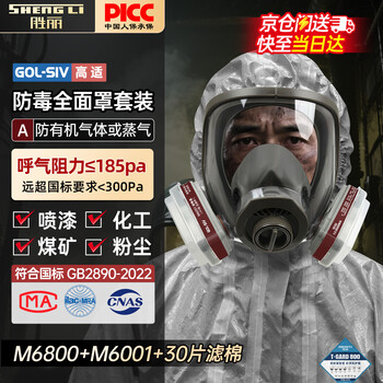 胜丽 GOL-SIV® 防毒面具全面罩 防有机气体蒸汽/苯/汽油 喷漆化工厂煤矿 M6800+M6001