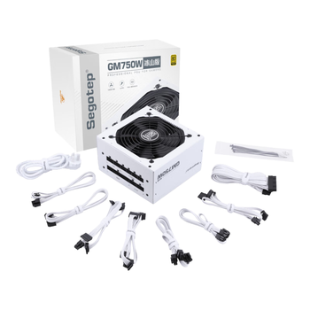 鑫谷(segotep)GM750W ATX3.1金牌全模组冰山版电源(12V-2X6支持5060Ti/5070Ti显卡/白色线材/台式电脑主机箱)