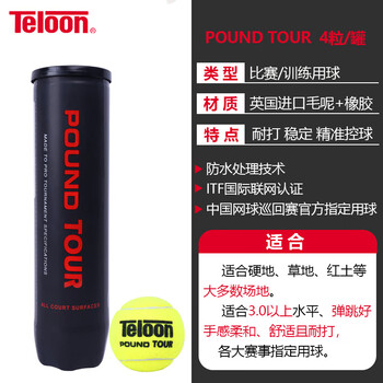 天龙（Teloon）网球比赛训练习用球高弹耐磨P4 TOUR pound 