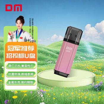 DM大迈 8GB USB2.0 U盘 PD206 粉色 招标投标小u盘 企业竞标电脑车载优盘