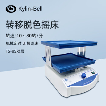 其林贝尔转移脱色摇床TS-8S实验室脱色振荡摇床