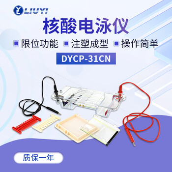 六一琼脂糖水平电泳仪DYCP-31CN电源凝胶实验室垂直电泳槽
