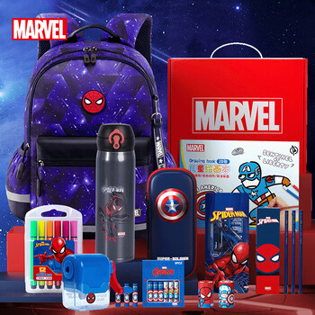 迪士尼（Disney）文具套装礼盒小学生男儿童文具礼盒13件套礼包学习用品儿童生日礼物3-6年级书包保温杯