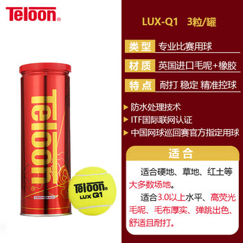 天龙（Teloon）网球高弹耐磨训练球比赛练习用球 LUXQ1