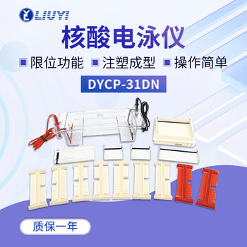 六一琼脂糖水平电泳仪DYCP-31DN电源凝胶实验室垂直电泳槽