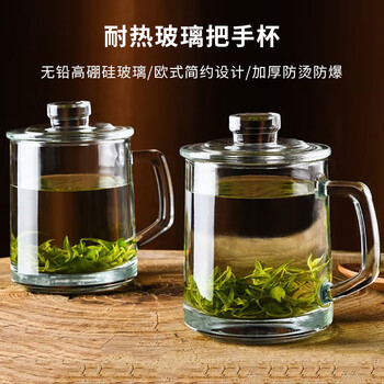 喜碧（Scybe）茶杯耐热玻璃杯办公杯玻璃茶杯带盖把手杯玻璃水杯格隆380ml 2只