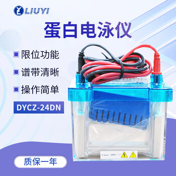 六一琼脂糖水平电泳仪DYCZ-24DN电源凝胶实验室垂直电泳槽
