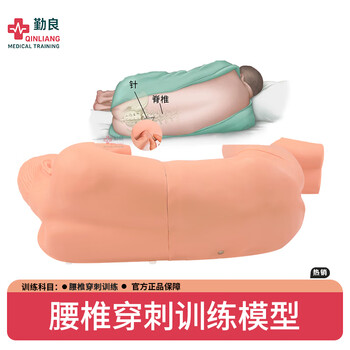 勤良成人腰椎穿刺训练模拟人腰椎穿刺引流教学训练模型假人 医学教学人体模型QL/CK811