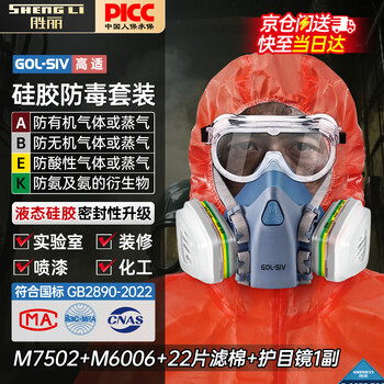 胜丽 M7502防毒面具口罩 防有机蒸气及多种气体 喷漆装修实验室 硅胶款 配M6006