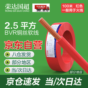 荣达国超电线2.5平方铜芯电线 单芯软线BVR电缆线延长线铜线国标红色火线 BVR-2.5平方-100m
