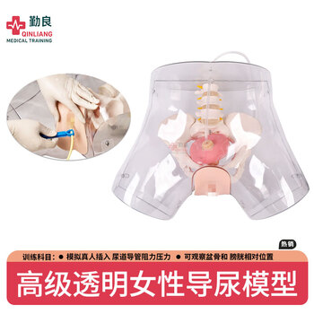 勤良透明女性导尿训练模型 导尿灌肠护理技能训练模拟人 导尿训练人体模型QL/H4D