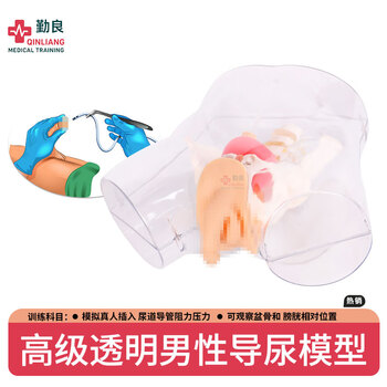 勤良透明男性导尿训练模型 导尿灌肠护理技能训练模拟人 导尿训练人体模型QL/H3D