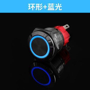瀚时恒业 金属按钮开关LED带灯防水按键自复位点动自锁 环形灯丨蓝光丨不含插座16mm;自复【松手弹回】220V（10个）