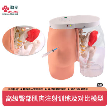 勤良高级臀部肌肉注射训练模型 电子臀部肌肉注射及透明对比模型 带灯光提示及蜂鸣提示警报QL/H5T