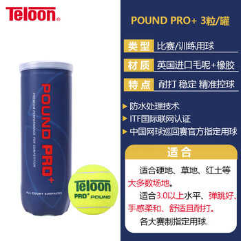 天龙（Teloon） 网球比赛训练习用球高弹耐磨 PRO+POUND 3粒装
