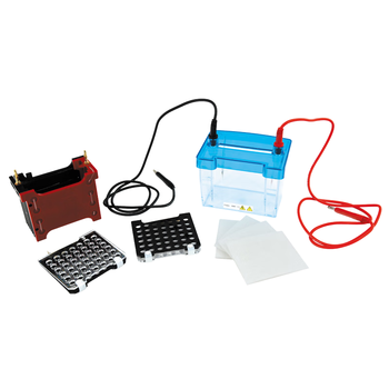 六一牌（LY） 转印电泳仪DYCZ-40D 迷你型实验室凝胶蛋白电泳槽分子转印槽琼脂糖核酸生物电泳设备