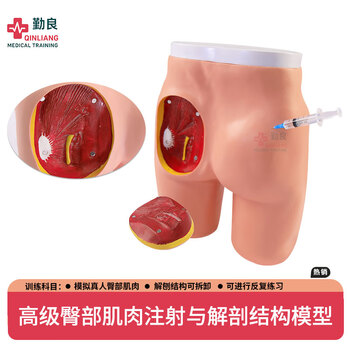 勤良高级臀部肌肉注射训练模型 臀部肌肉注射与解剖结构对比模型QL/H4T